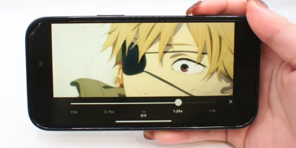 Netflix_倍速再生